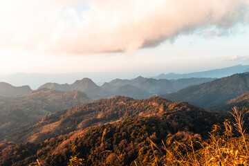 英语fled to the mountains怎么翻译？